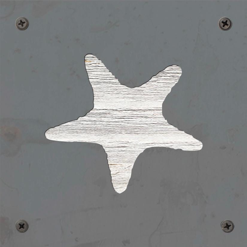 Starfish Metal Wall Art on Reclaimed Wood, Coastal Beach House Decor, 5.5 Inch Square Steel Sign, Ocean Decor, Starfish Gift