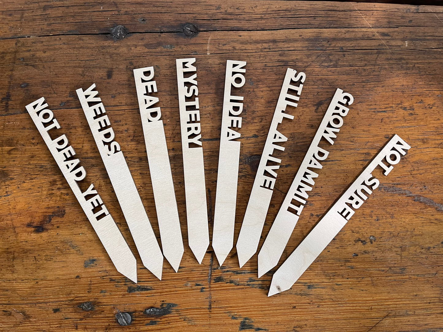 Funny Herb, Christmas Gift, Flower or Garden Marker Set of 8 Eco Friendly Set, Sustainable Gifts, Stocking Stuffer