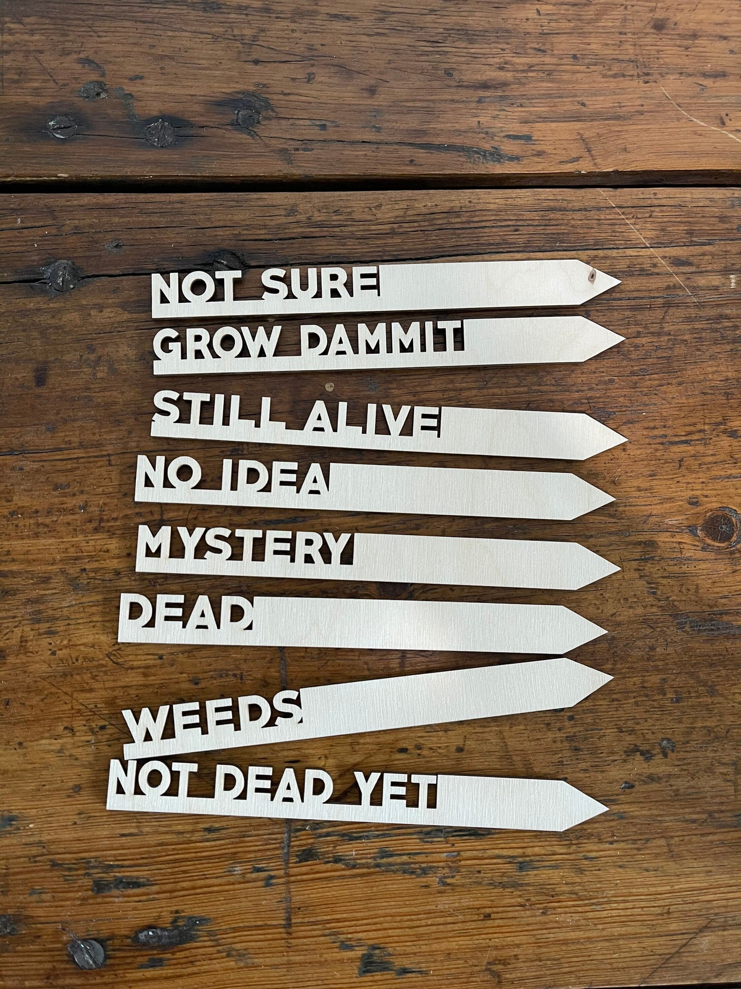 Funny Herb, Christmas Gift, Flower or Garden Marker Set of 8 Eco Friendly Set, Sustainable Gifts, Stocking Stuffer