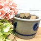 Set of 10 Garden Markers - Small and Charming Plant Labels - Garden
