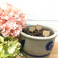 Set of 10 Garden Markers - Small and Charming Plant Labels - Garden