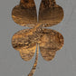 Four Leaf Clover Metal Wall Art on Reclaimed Wood, Lucky Shamrock, Irish Decor, 5.5 Inch Square Steel Sign, Irish Gift, St Patricks Decor