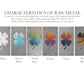Four Leaf Clover Metal Wall Art on Reclaimed Wood, Lucky Shamrock, Irish Decor, 5.5 Inch Square Steel Sign, Irish Gift, St Patricks Decor