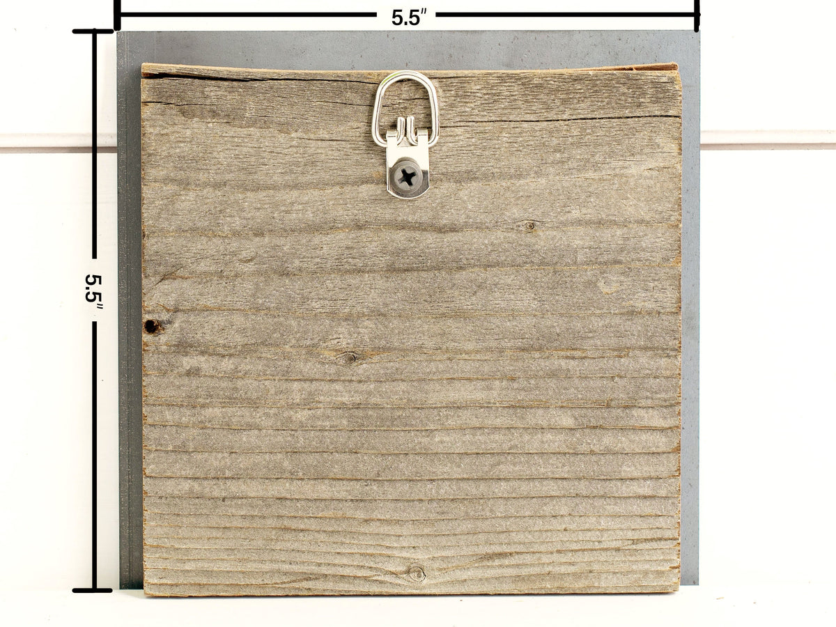 T-Rex Dinosaur Metal Wall Art on Reclaimed Wood, Dino Nursery Decor, Kids Room, 5.5 Inch Square Steel Sign, Dinosaur Gift