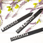 Custom Black Steel Garden Stakes, Row Marker,