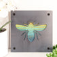 Honey Bee Metal Wall Art on Reclaimed Wood, Bee Kitchen Decor, Beekeeper Gift, 5.5 Inch Square Steel Sign, Bumble Bee Sign