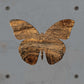 Butterfly Metal Wall Art on Reclaimed Wood, Colorful Butterfly Decor, Gift for Her