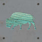Bison Metal Wall Art on Reclaimed Wood, Buffalo Decor, Yellowstone Gift, 5.5 Inch Square Steel Sign, Western Decor, Housewarming Gift