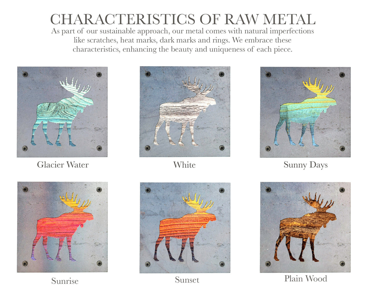 Moose Metal Wall Art on Reclaimed Wood, Cabin Decor, Woodland Nursery Moose, 5.5 Inch Square Steel Sign, Moose Gift, Housewarming Gift