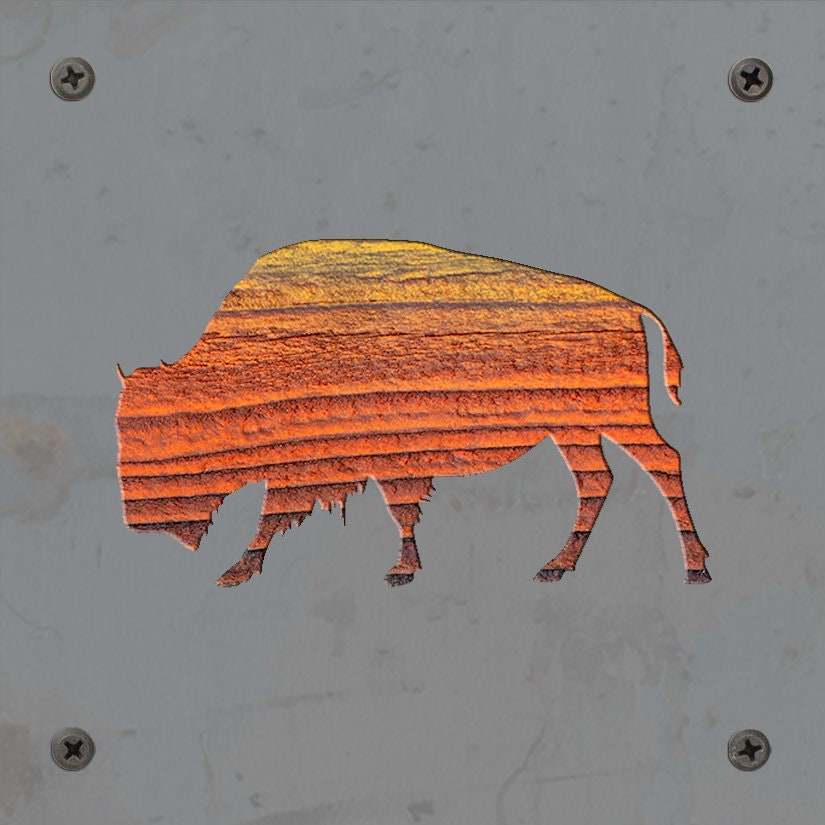 Bison Metal Wall Art on Reclaimed Wood, Buffalo Decor, Yellowstone Gift, 5.5 Inch Square Steel Sign, Western Decor, Housewarming Gift
