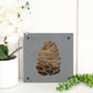 Pinecone Metal Wall Art on Reclaimed Wood, Cabin Decor, Rustic Christmas Sign, 5.5 Inch Square Steel Sign, Pine Cone Art, Winter Decor
