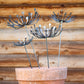 Metal Dandelion Garden Stake: Rustic Yard Art Decor