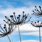 Metal Dandelion Garden Stake: Rustic Yard Art Decor