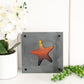Starfish Metal Wall Art on Reclaimed Wood, Coastal Beach House Decor, 5.5 Inch Square Steel Sign, Ocean Decor, Starfish Gift