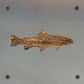 Fish Metal Wall Art on Reclaimed Wood, Small 5.5 Inch Fishing Sign, Angler Gift