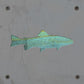Trout Metal Wall Art on Reclaimed Wood, Fishing Cabin Decor, Fisherman Gift, 5.5 Inch Square Steel Sign, Fish Wall Decor, Lake House Decor