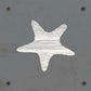 Starfish Metal Wall Art on Reclaimed Wood, Coastal Beach House Decor, 5.5 Inch Square Steel Sign, Ocean Decor, Starfish Gift
