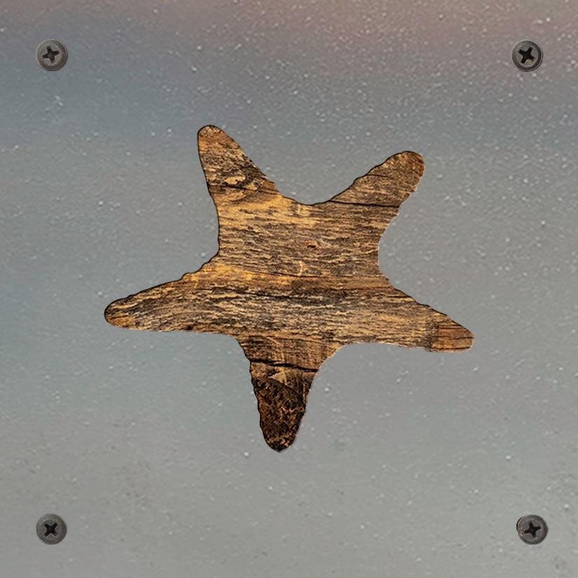 Starfish Metal Wall Art on Reclaimed Wood, Coastal Beach House Decor, 5.5 Inch Square Steel Sign, Ocean Decor, Starfish Gift