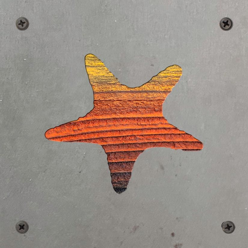 Starfish Metal Wall Art on Reclaimed Wood, Coastal Beach House Decor, 5.5 Inch Square Steel Sign, Ocean Decor, Starfish Gift