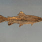 Fish Metal Wall Art on Reclaimed Wood, Small 5.5 Inch Fishing Sign, Angler Gift