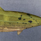 Trout Metal Wall Art on Reclaimed Wood, 12.5 Inch Fishing Decor, Fisherman Gift