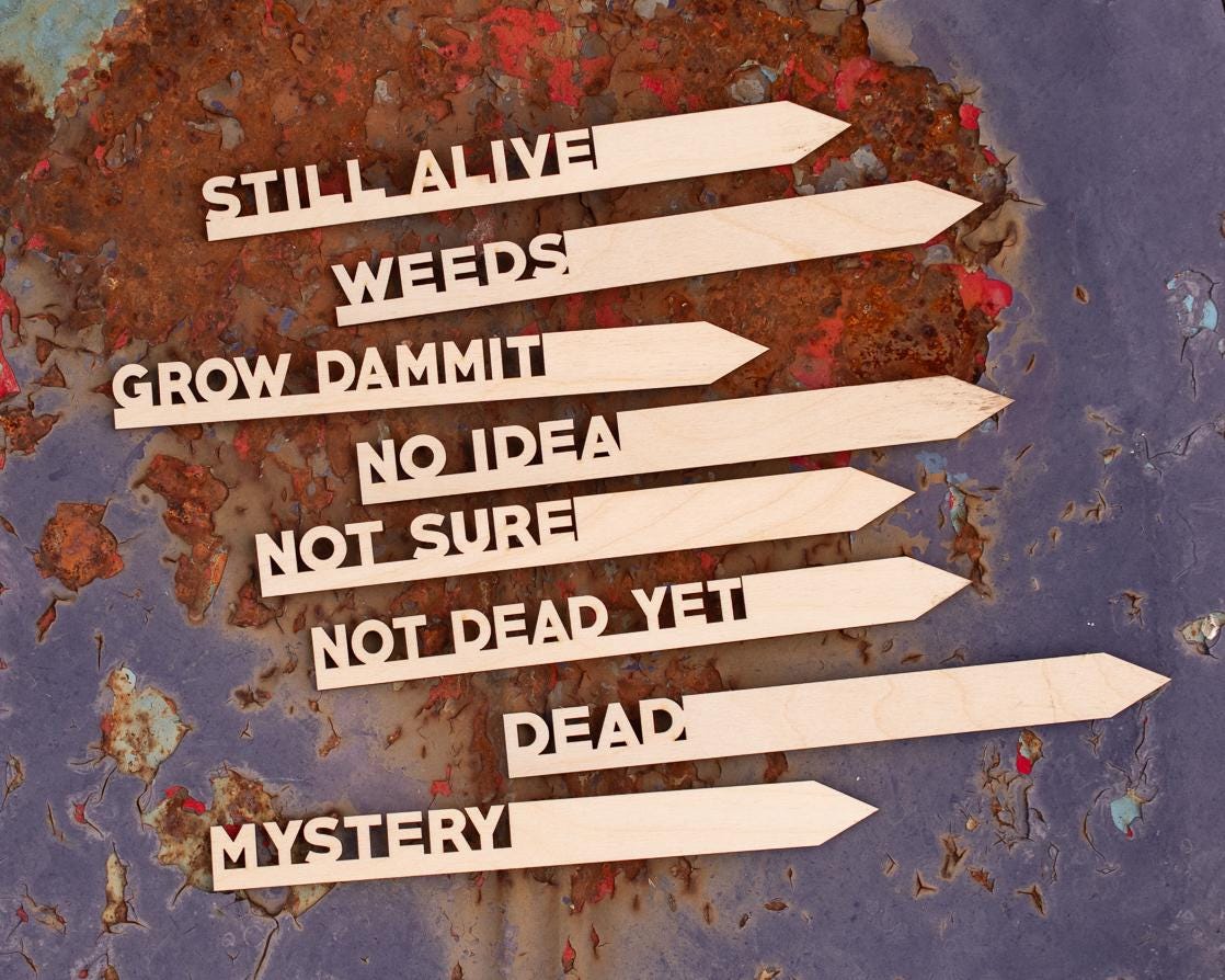 Funny Garden Markers: Birch Wood Plant Stakes, Set of 8