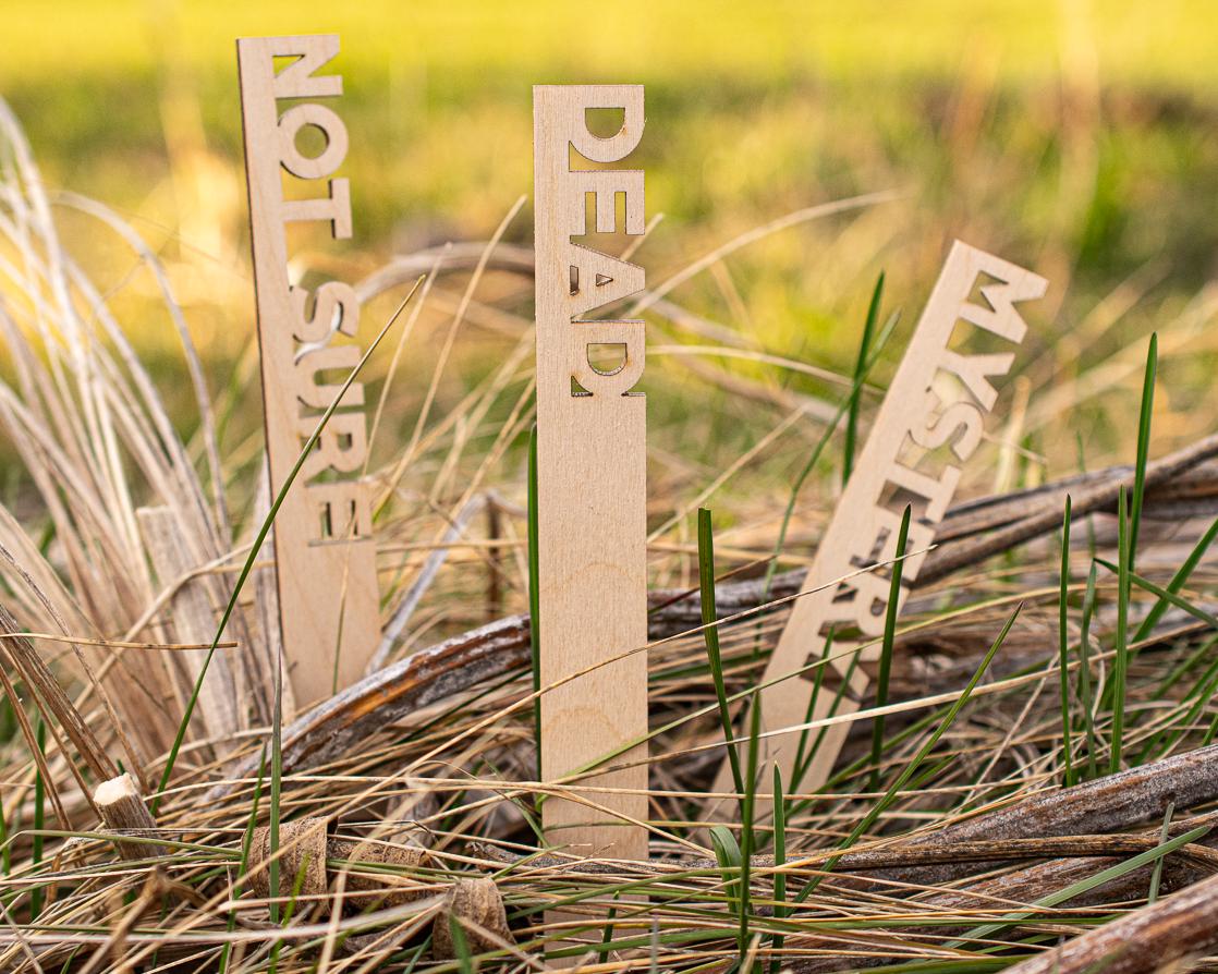 Funny Garden Markers: Birch Wood Plant Stakes, Set of 8