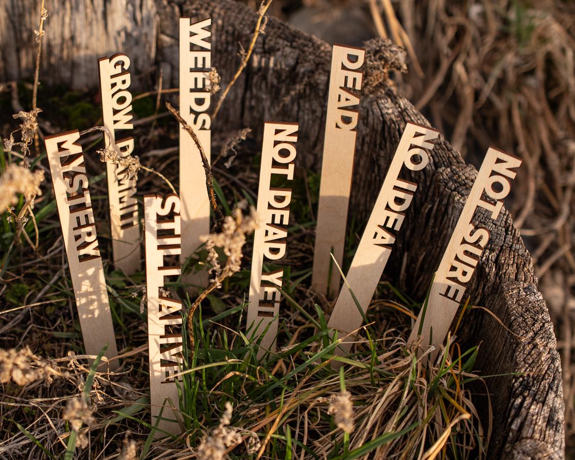 Funny Garden Markers: Birch Wood Plant Stakes, Set of 8