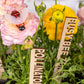 Bee Garden Markers: Birch Wood Pollinator Stakes, Set of 8