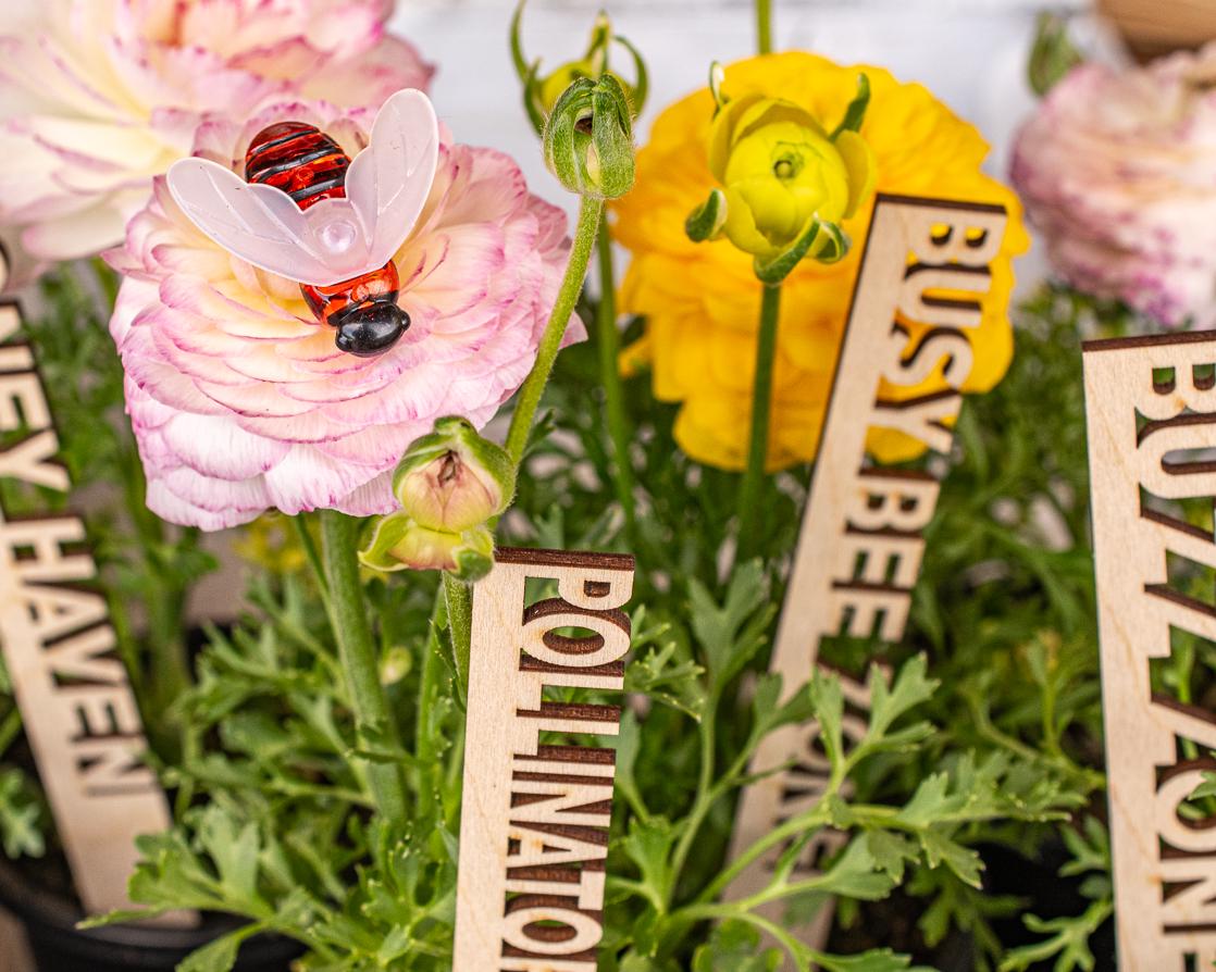 Bee Garden Markers: Birch Wood Pollinator Stakes, Set of 8