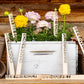 Bee Garden Markers: Birch Wood Pollinator Stakes, Set of 8