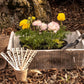 Bee Garden Markers: Birch Wood Pollinator Stakes, Set of 8
