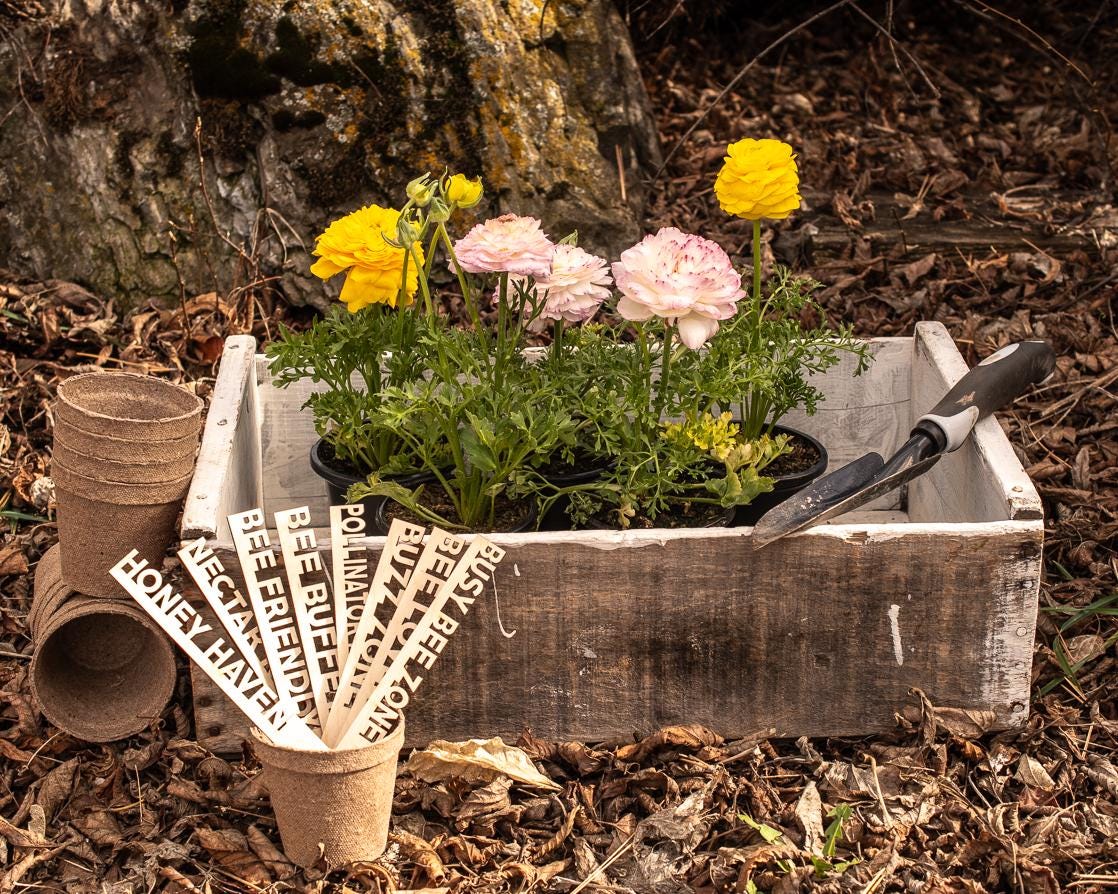Bee Garden Markers: Birch Wood Pollinator Stakes, Set of 8