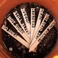 Funny Garden Markers: Birch Wood Plant Stakes, Set of 8