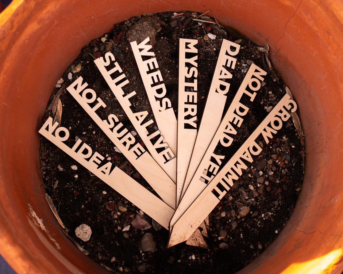 Funny Garden Markers: Birch Wood Plant Stakes, Set of 8