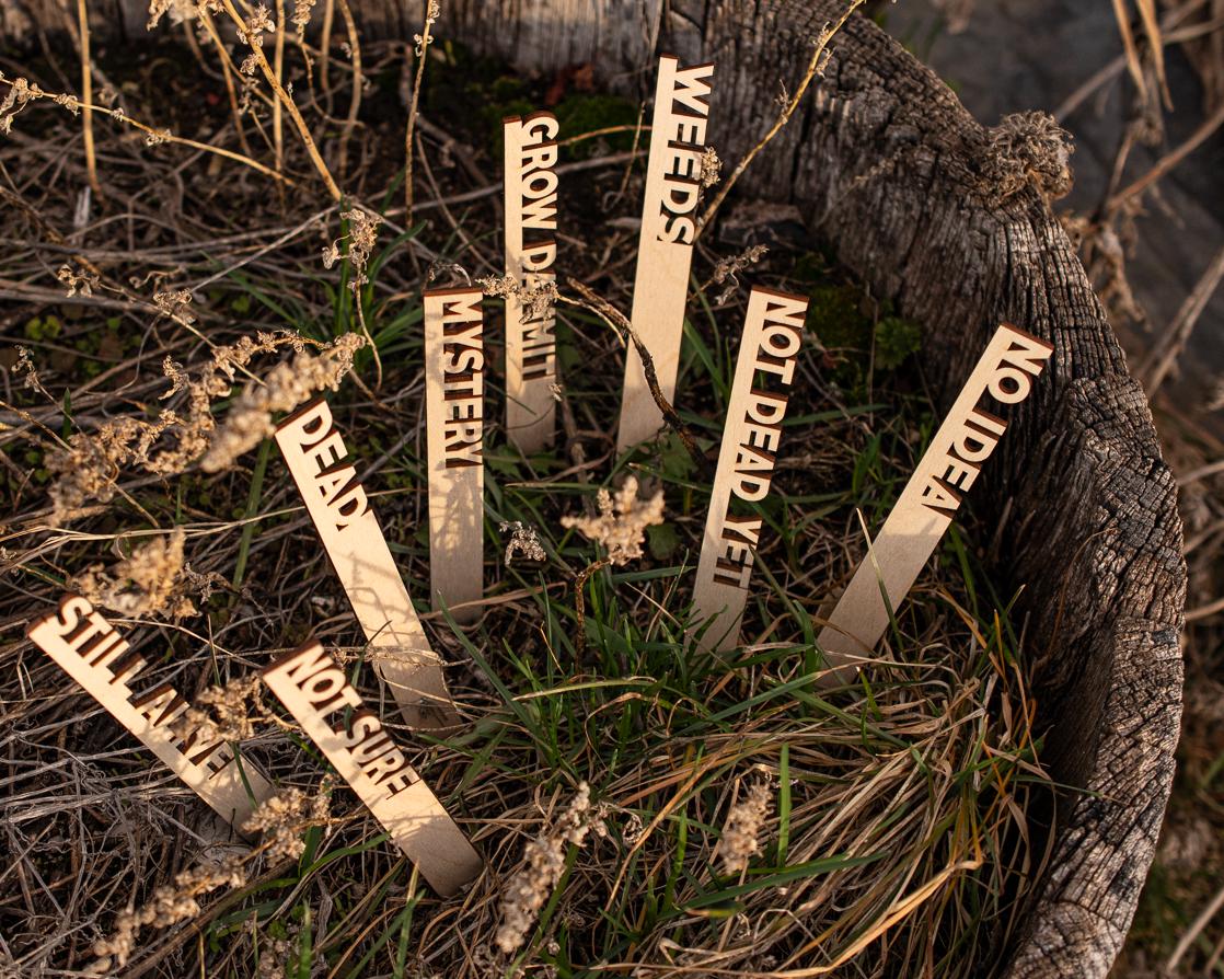 Funny Garden Markers: Birch Wood Plant Stakes, Set of 8