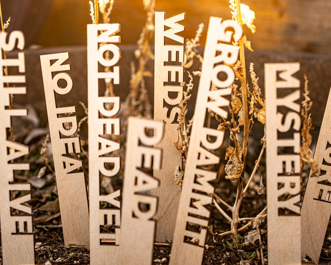 Funny Garden Markers: Birch Wood Plant Stakes, Set of 8