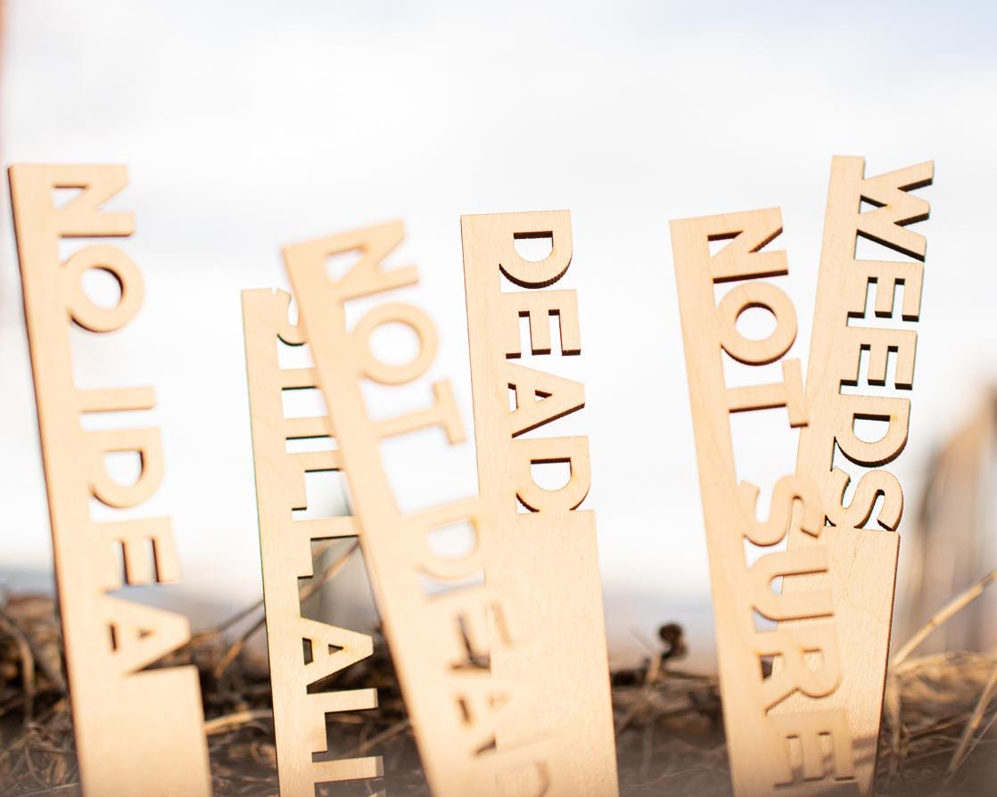 Funny Garden Markers: Birch Wood Plant Stakes, Set of 8