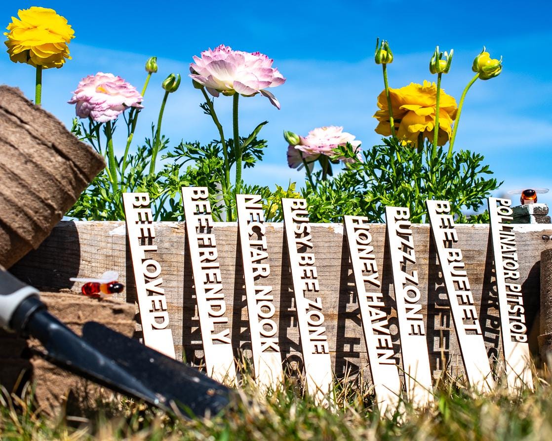 Bee Garden Markers: Birch Wood Pollinator Stakes, Set of 8