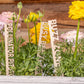 Bee Garden Markers: Birch Wood Pollinator Stakes, Set of 8