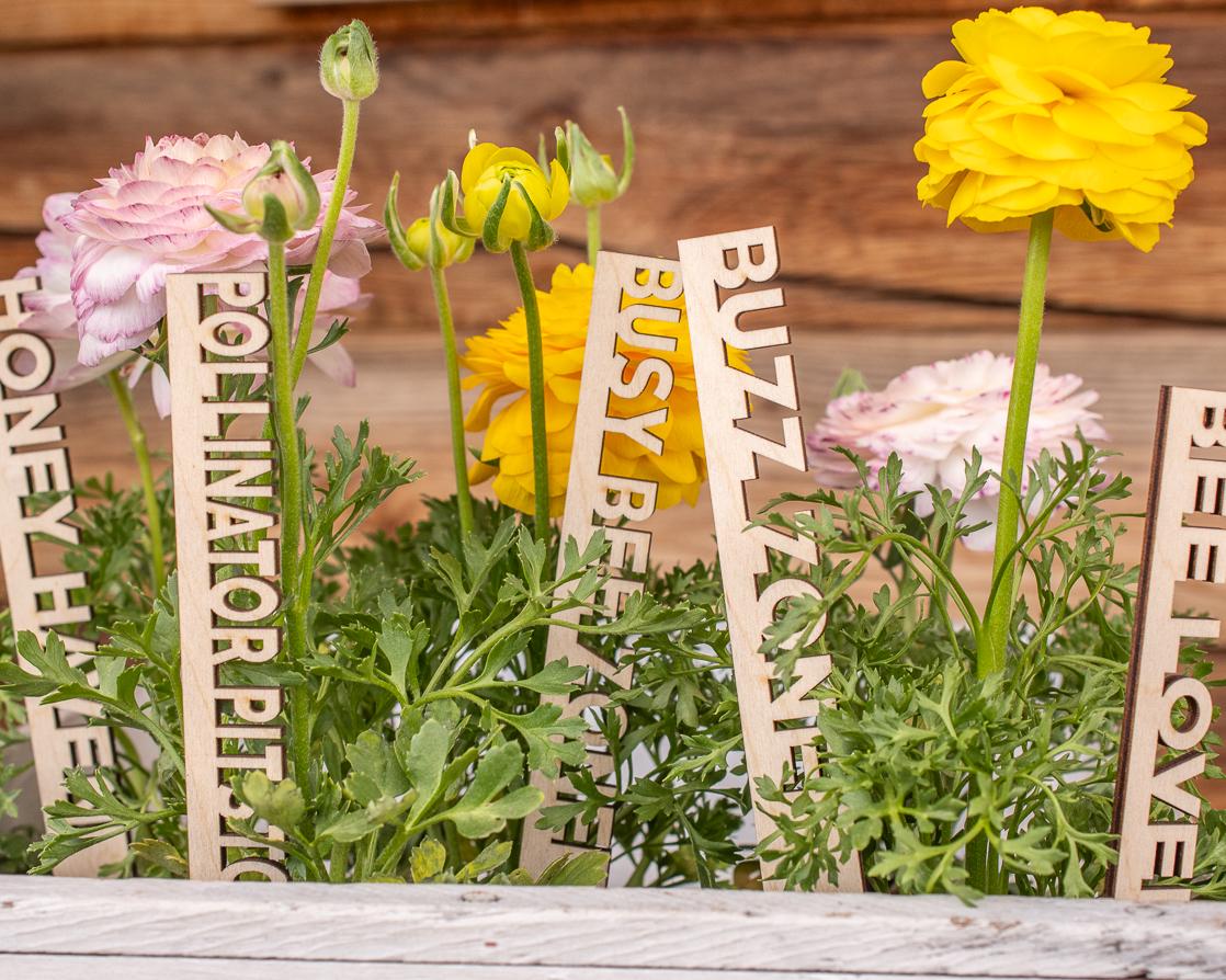 Bee Garden Markers: Birch Wood Pollinator Stakes, Set of 8