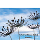 Metal Flower Yard Art, Rustic Dandelion Decor, Unique Gifts for Mom, Eco-Friendly Garden Decora