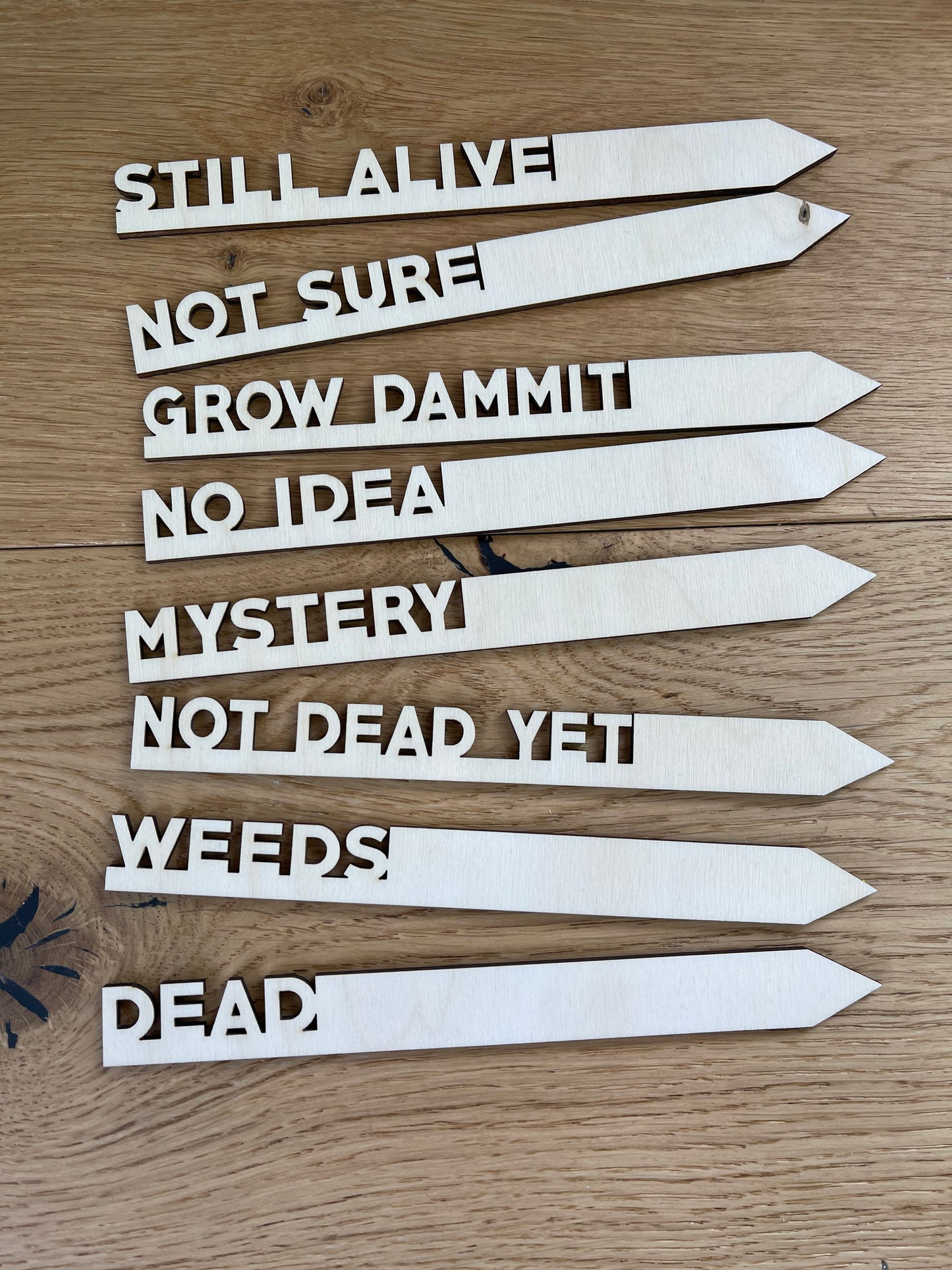 Funny Herb, Christmas Gift, Flower or Garden Marker Set of 8 Eco Friendly Set, Sustainable Gifts, Stocking Stuffer