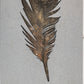 Metal and Wood Feather Wall Decor