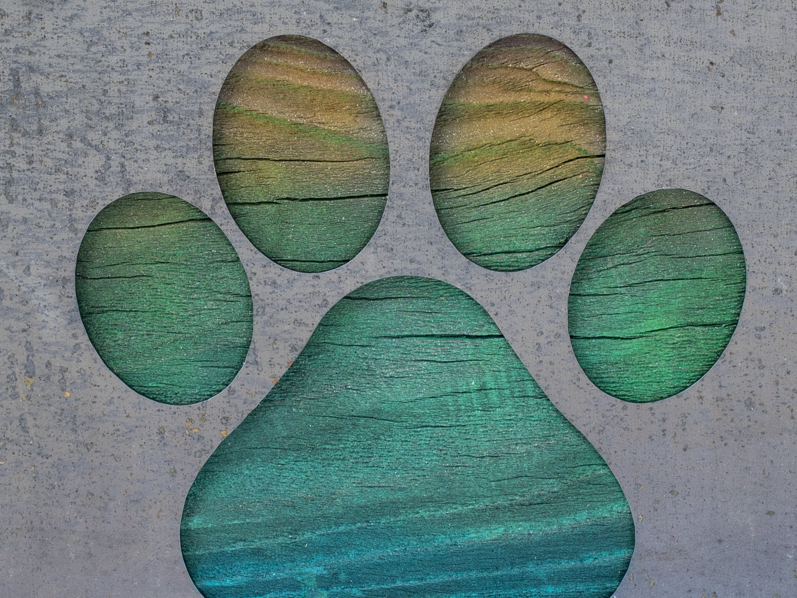 Paw print wall clearance art